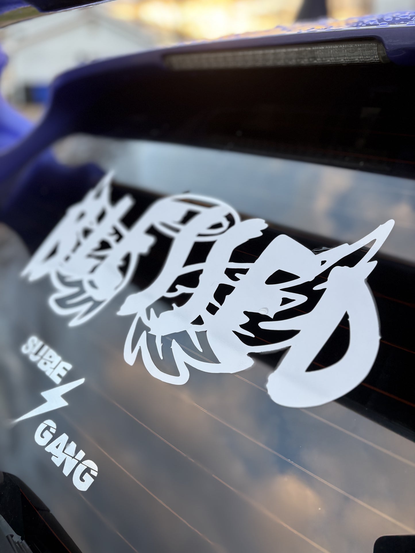 Blessed Rear banner