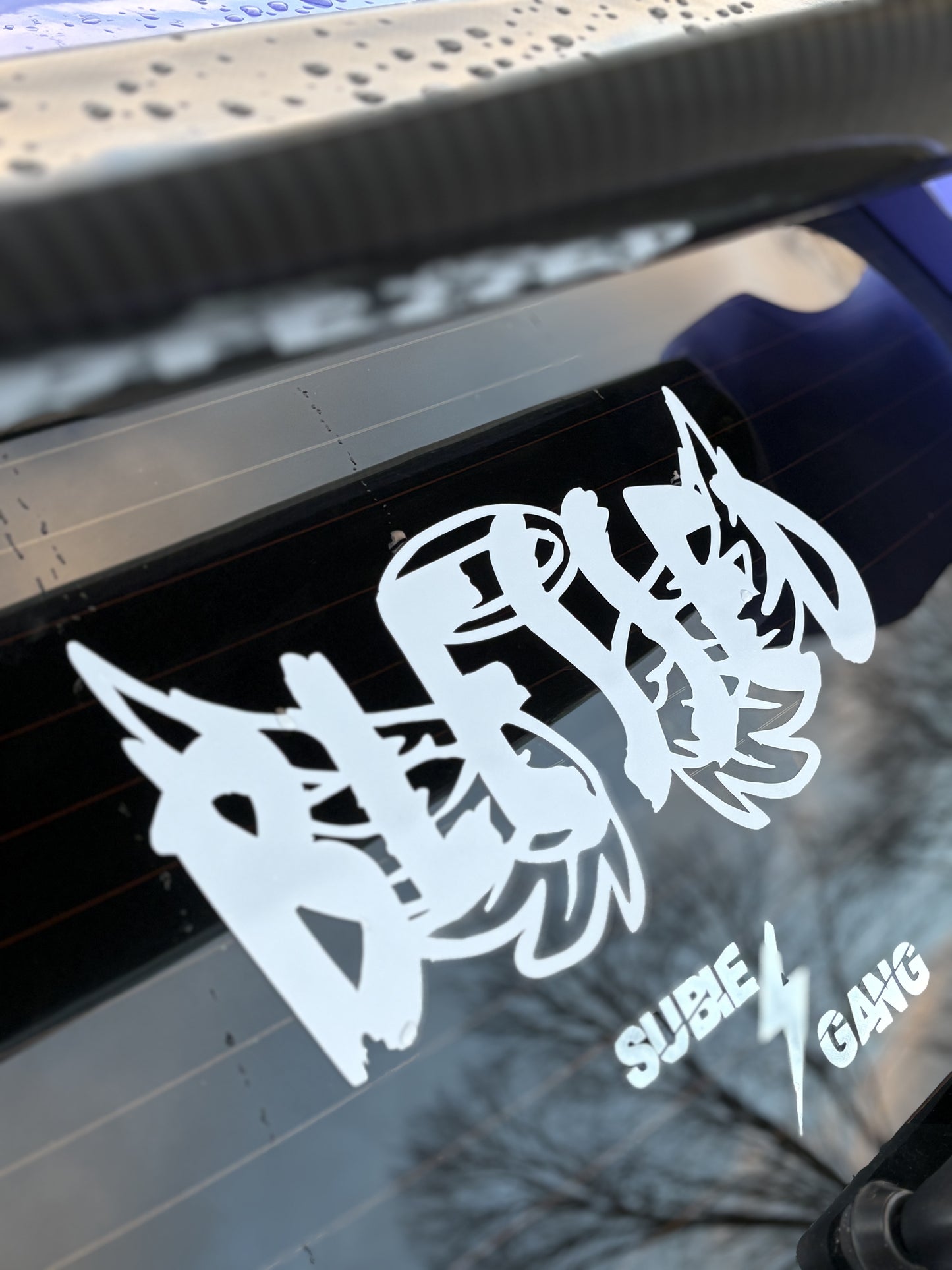 Blessed Rear banner