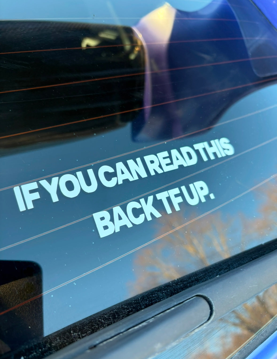 Car/ Truck Sticker If You Can Read This Back TF Up